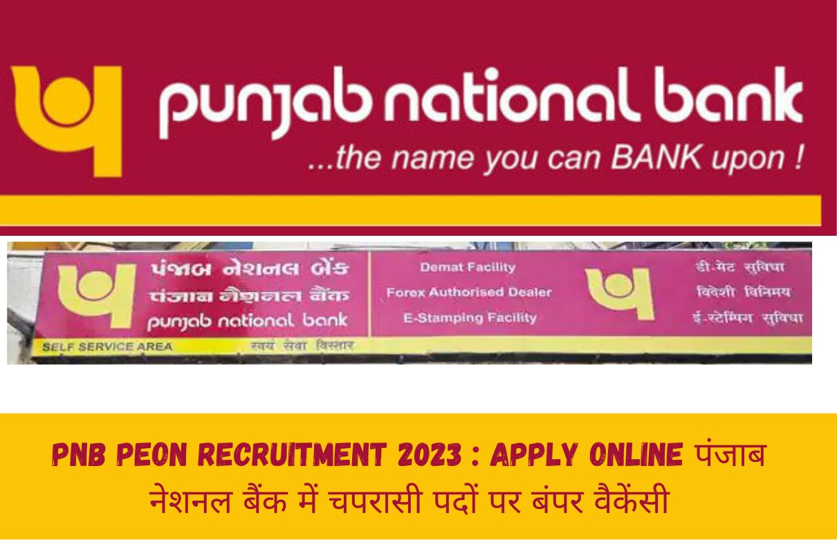 PNB Peon Recruitment 2023 : Apply Online पंजाब नेशनल बैंक में चपरासी पदों पर बंपर वैकेंसी