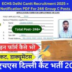 ECHS Delhi Cantt Recruitment 2025 » Notification PDF For 246 Group C Posts ईसीएचएस दिल्ली कैंट भर्ती 2025