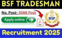 BSF Tradesman Recruitment 2025 » All India Job New Notification Out Bumper Posts, Breaking News